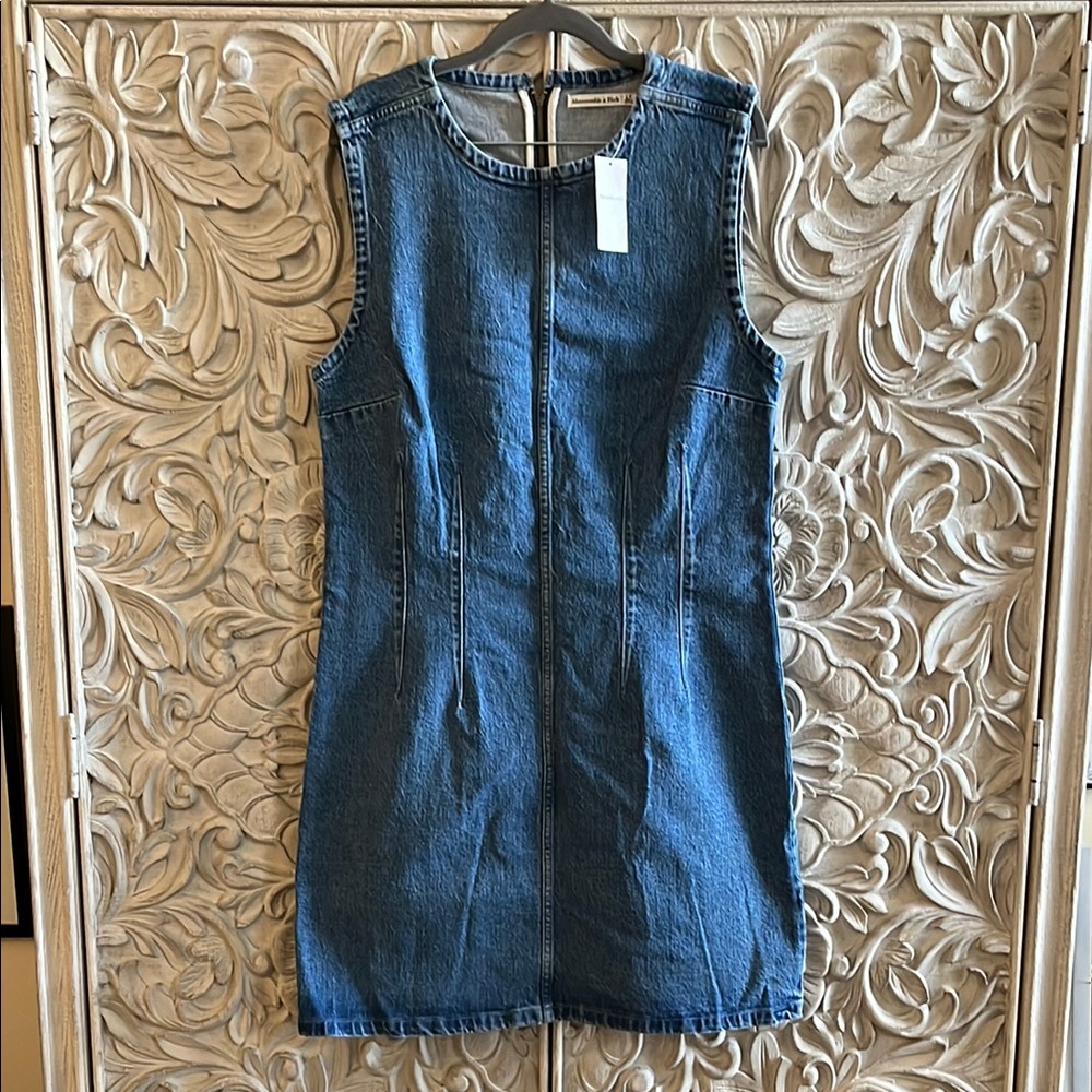 NWT Abercrombie and Fitch Denim Mini Dress